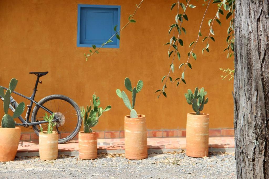 Hostel Nomad - *