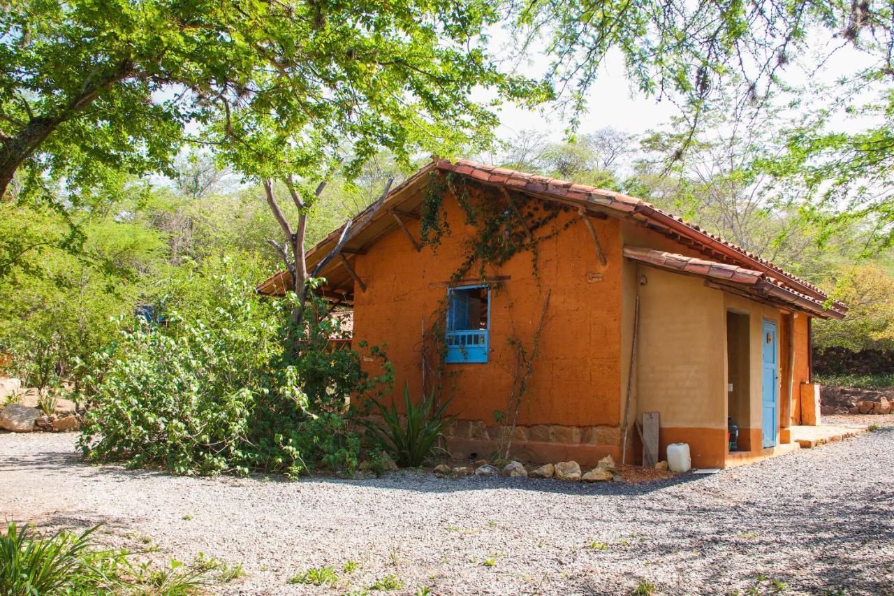 Hostel Nomad -