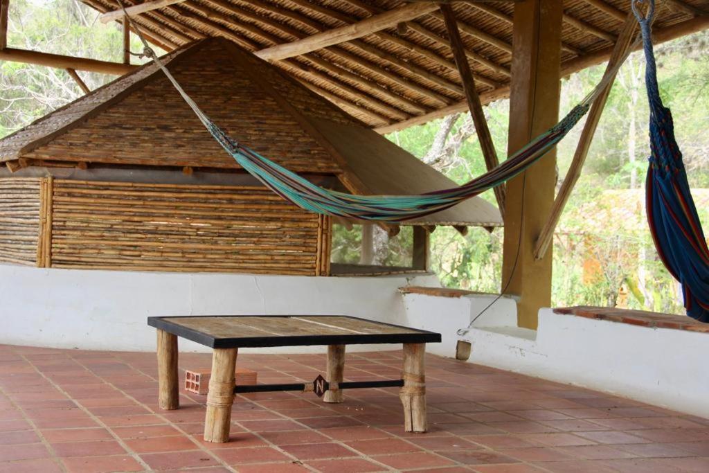 Nomad - Hostel